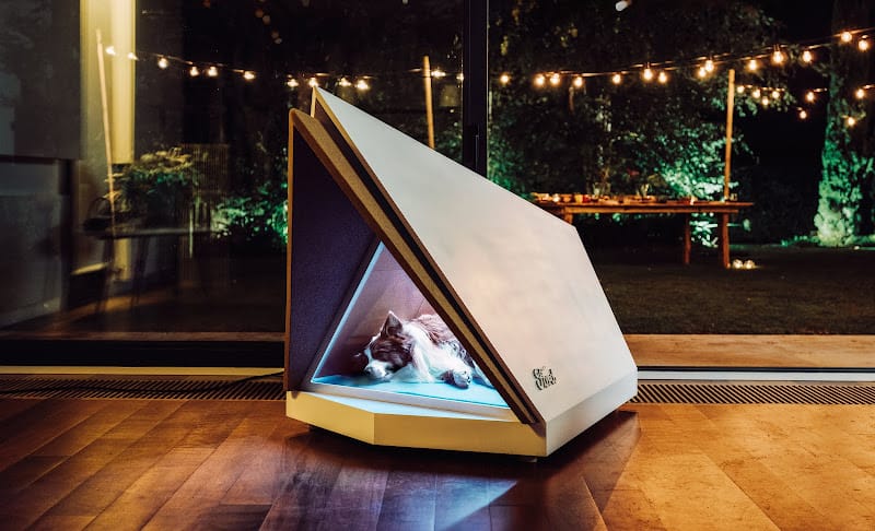 Noise-Cancelling Dog Crate in Use